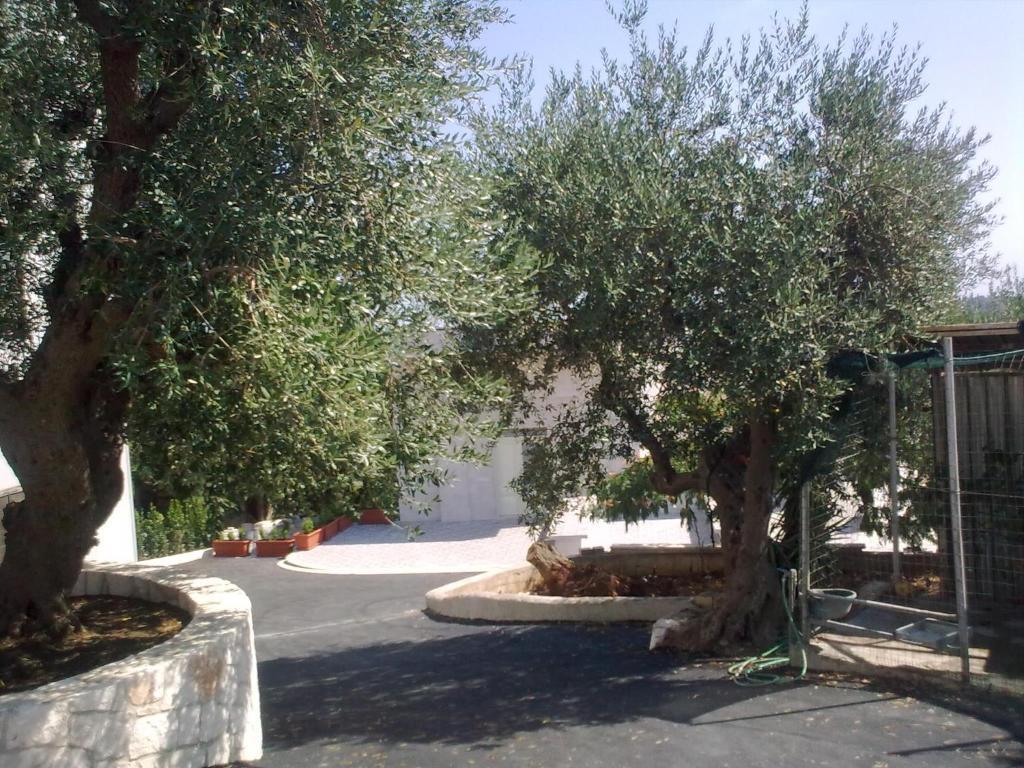 Bed & Breakfast La Collinetta Locorotondo Exterior photo